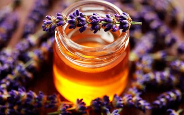 تصویر 4 از راهنمای خرید عسل جنگلی رشت  + قیمت عالی